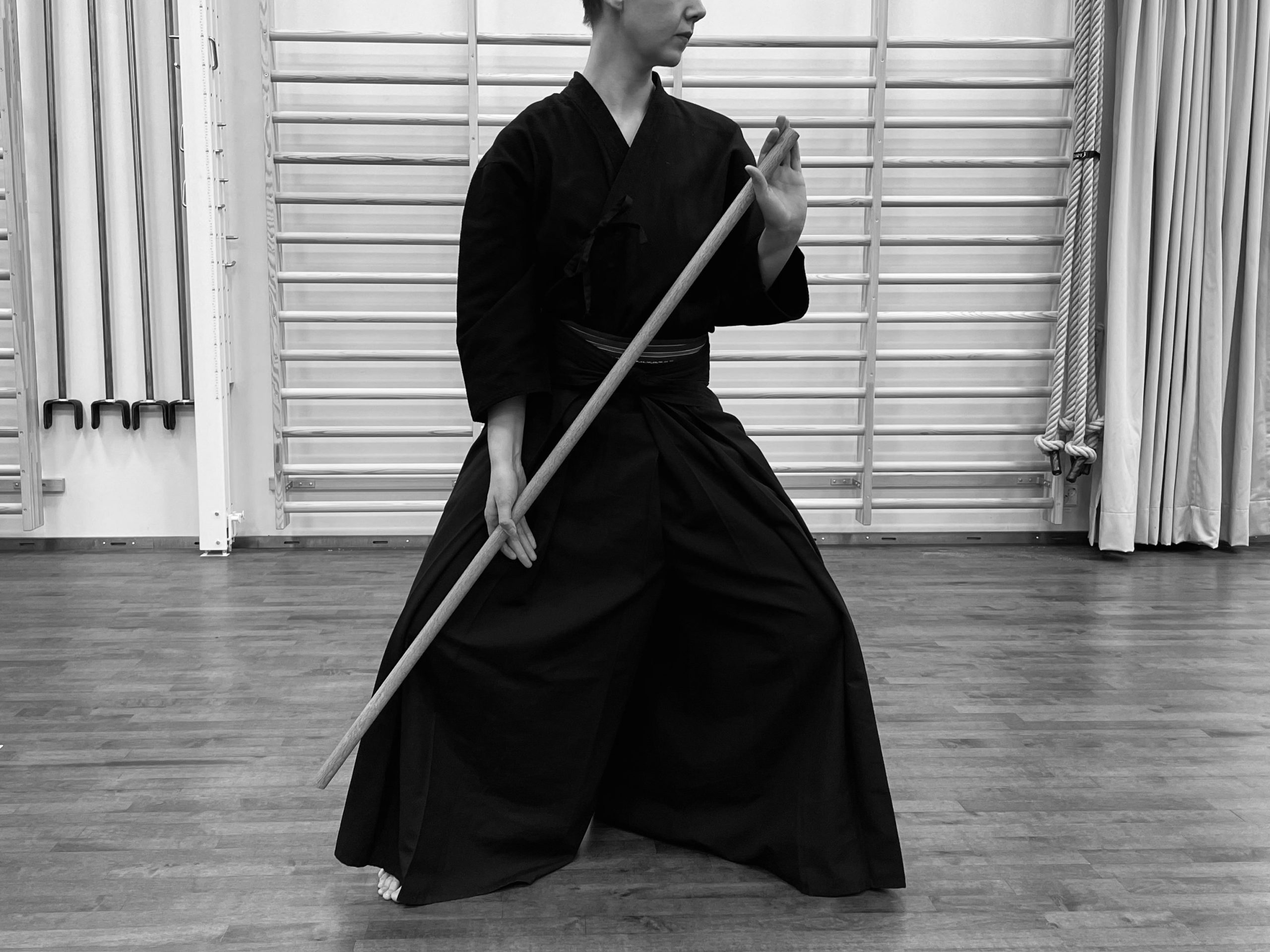 Shintō Musō ryū jodo